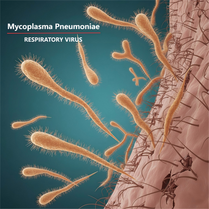 mycoplasma pneumoniae.png