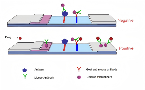 zasada testu narkotykowego w moczu