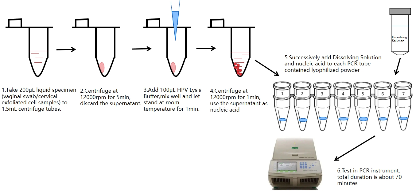 proces testu HPV PCR