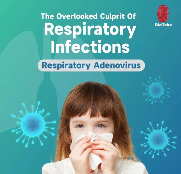 Adenowirus, powszechnie pomijany zabójca infekcji oddechowych