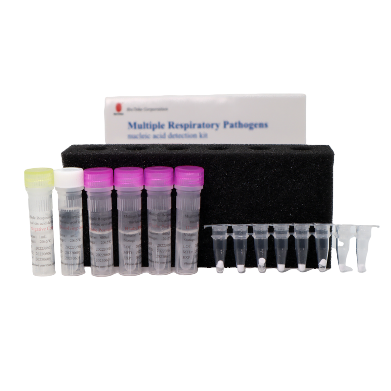 Bioteke Zestaw wykrywania kwasu nukleinowego wiele patogenów oddechowych (metoda fluorescencyjna PCR)